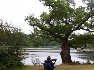 Arbre abbaye st maurice