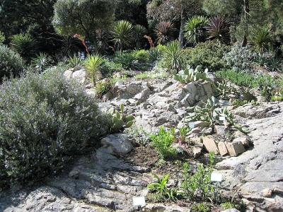 Glenans2009 024
