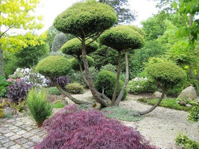 Jardin exotique de roscoff3