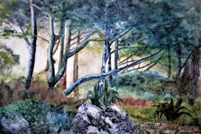 Josse moysan