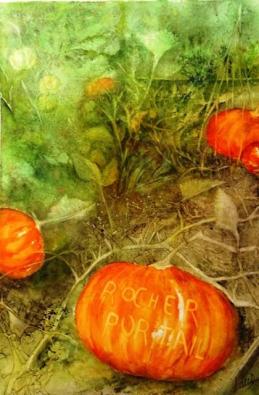 Laurence douilly