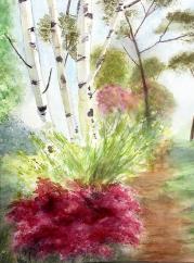 Parc cornouaille azalees bouleaux j herry